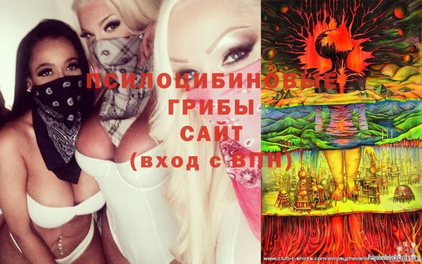 ALPHA PVP Беломорск